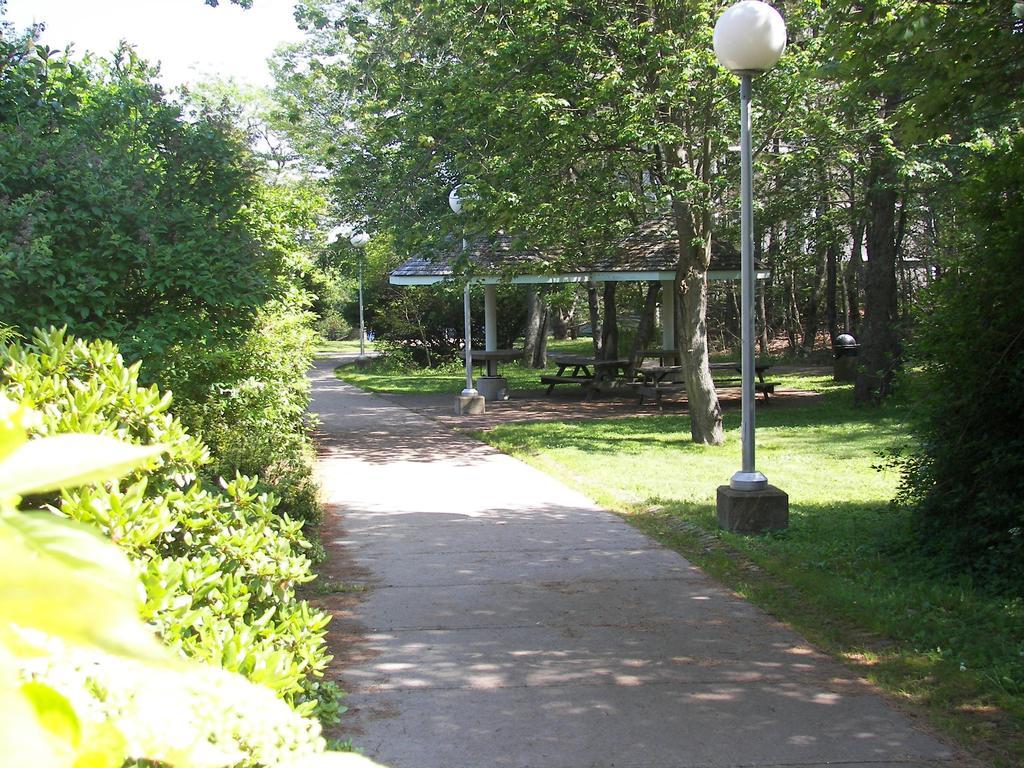 Mount Saint Vincent University Halifax Zewnętrze zdjęcie